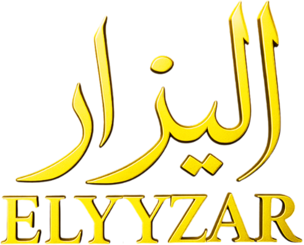 Elyyzar Store New